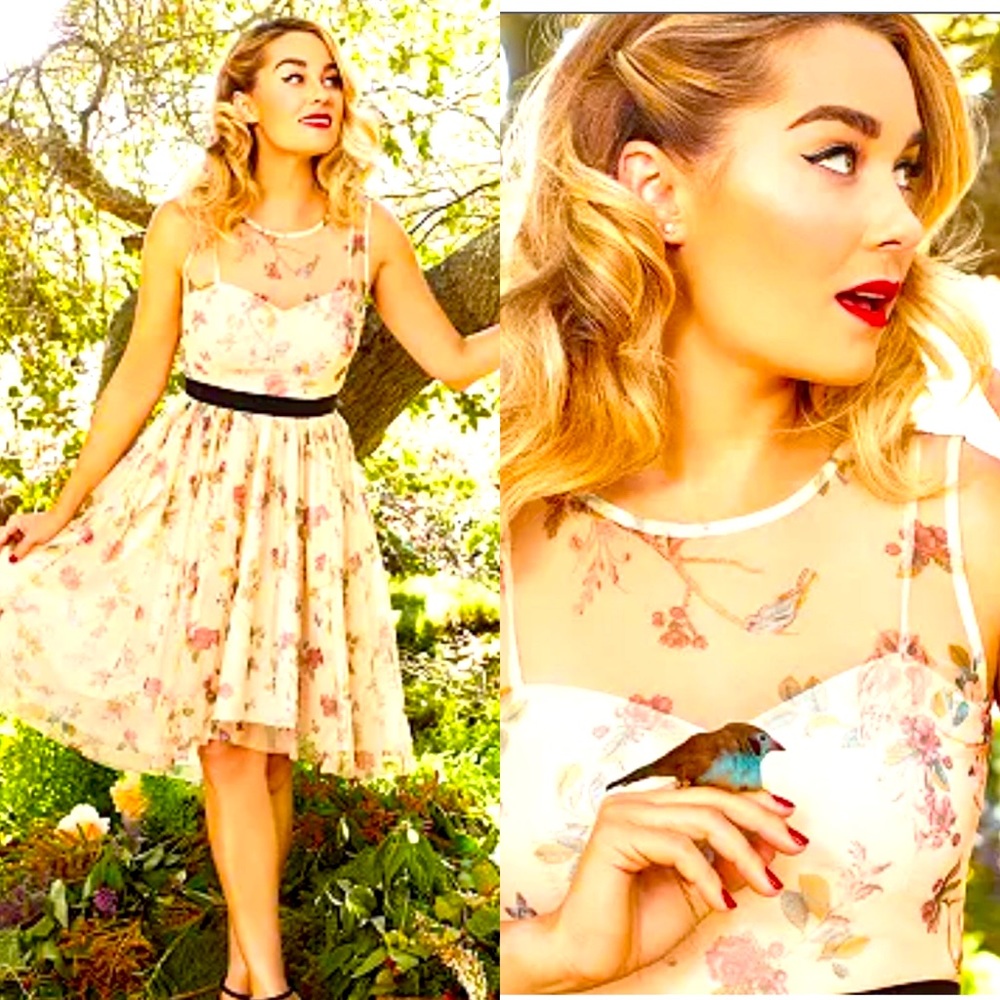 🍎NWOT DISNEY SNOW WHITE LAUREN CONRAD BIRD OWL SWEETHEART DRESS FIT FLARE